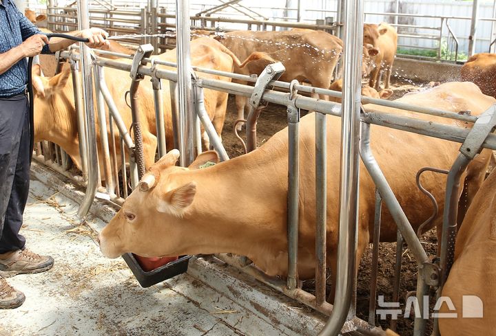 환율 1% 오르면 7개월 뒤 암소 도축률 0.3%↑…한우 수급도 흔든다