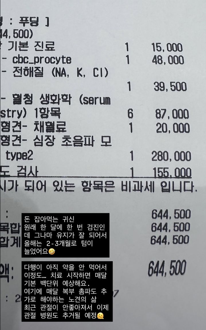 줄리엔 강 아내 