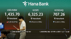 '25% 급등' 삼전·SK하닉, 하루 만에 8% 급락…차익실현에 숨 고르기[핫스탁](종합)