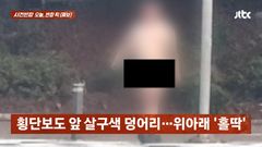 "검정 운동화만 신은 채"…나체로 대전 도심 활보한 남성 '충격'
