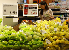 농식품 가격·가축질병 데이터 민간 개방…AI 서비스 개발 활용