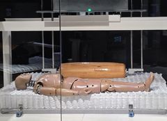 꿀잠의 비밀…"3.5억짜리 마네킹이 알아냅니다"