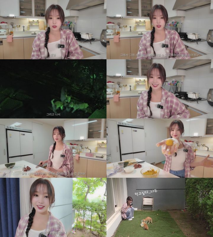 남규리, 길냥이 엄마 됐다…"기분 좋은 일"