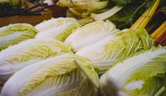 中 허베이성서 발암물질 ‘포름알데히드' 사용 배추 적발