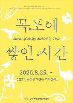 호남권생물자원관 기획전 '목포에 쌓인 시간' 25일 개막