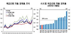 충북 6월 예금은행 연체율 0.26%…3월보다 0.03%p↑