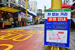 '차 없는 거리 한 달'…속초수산시장 차량 통행, 89% 감소