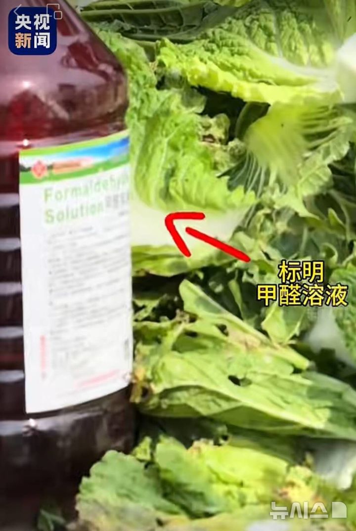 中정부, 발암물질 배추 논란에 