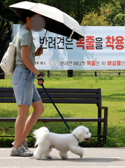 한강공원서 반려견 목줄 안 채우면 과태료 최고 '50만원'