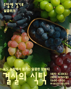 경기관광공사, 포도 체험의 장 '달콤위크-결실의 식탁' 운영