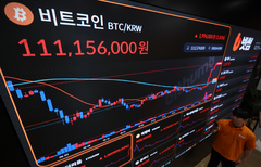 "내 알트코인은 잠잠한데"…비트코인 홀로 질주, 왜?