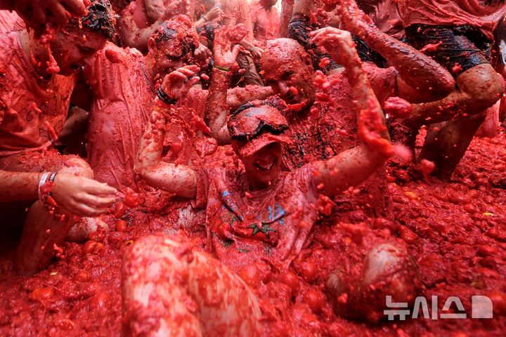 토마토로 붉게 물든 거리… 스페인 '라 토마티나' [뉴시스Pic]