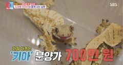 윤석민, 도마뱀 50마리와 함께 산다…"최고 분양가 700만 원"