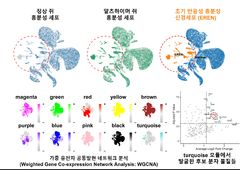 "치매 악화 가속페달 막았다"…단백질 하나 억제했더니 뇌 속 독성물질 반토막
