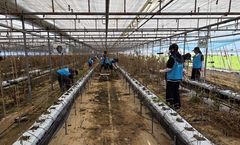 기록적 폭우 덮친 거제·통영…수공, 광역상수도 요금감면