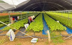 금산군, 외국인 계절근로자 증가세…493농가 1362명 