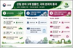 석재·정원 정부지원 확대된다…산지 관련 3개 法개정안 국회 통과 