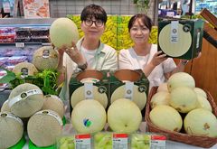 "한 통에 3.2㎏" 롯데마트, 대형마트 첫 '킹메론' 선보인다