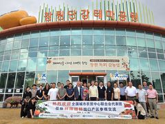 중국 농산물도매시장연합회, 경남 단감 수출단지 방문