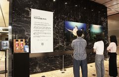 GS리테일, '자원순환의 날' 앞두고 해양생태계 보호 사진전 개최