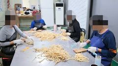 중국산 도라지 국내산 둔갑…학교 5000곳 28억원어치 납품