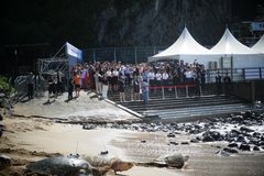 해양생물자원관, 바다거북 11마리 위성추적…이동경로 살핀다