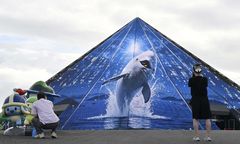 여수섬박람회, 11·12일 위클리 콘서트…가수 장한별 등 출연