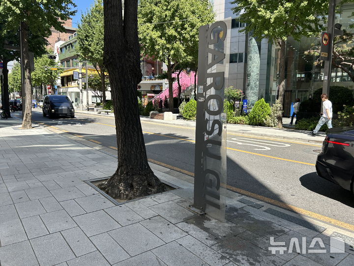 대로변은 '텅텅' 골목안은 '북적'…가로수길 공실률 43.9%의 그늘[출동!인턴]