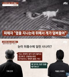 산책하던 50대, 불테리어에 물려 6번 수술…주인은 "난 경고했다"