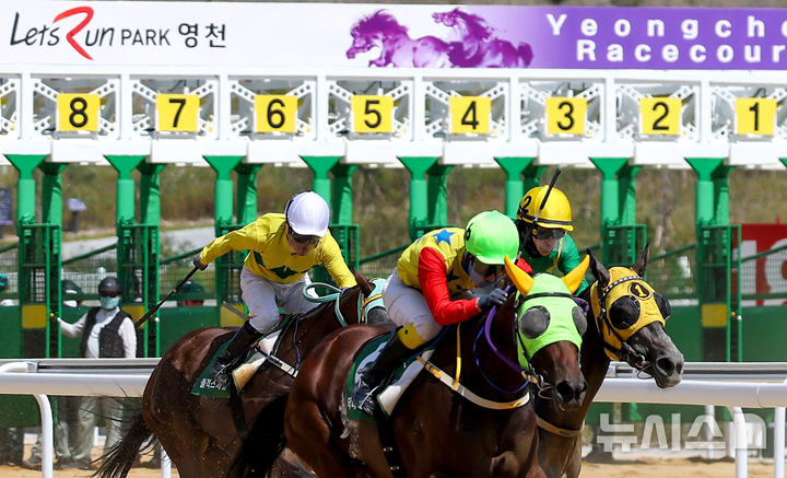 '렛츠런파크 영천' 13일 개장, 경북 최초 [뉴시스Pic]