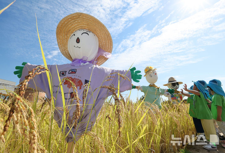 허수아비야 가을을 부탁해 [뉴시스Pic]