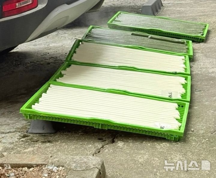가래떡이 왜 주차장에…"차량 오가는데 식품위생 괜찮나"