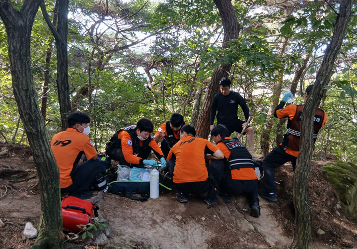 익산 미륵산 오르던 30대 등산객, 벌 쏘여 병원 이송 대표 이미지