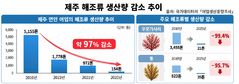제주 연안 해조류 15년 새 97% 감소…"생태계 재편 중"