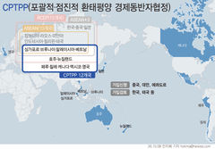 CPTPP 발효 후 韓 수출품 47.7% 경쟁력 하락…조선·車 타격