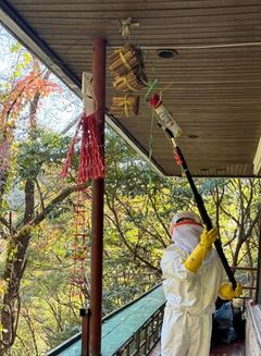문경 선유동천서 탐방객 8명 벌 쏘여…병원 이송