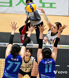 '2연패 도전' IBK기업은행, 컵대회 첫판서 '신생팀' SOOP 3-0 완파