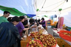 연산대추축제에 4만명 발길…가족형 문화축제 가능성 보여