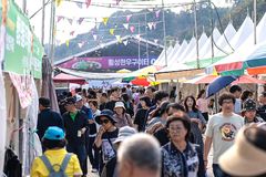 횡성한우축제 40만명 찾았다…매출 44억원 역대 최고