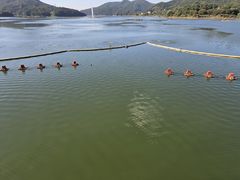 대청호 녹조 '경계' 격상 전망…청주시 수질관리 강화