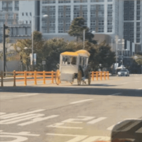 '다그닥 다그닥' 도로 한복판에 웬 말?…일산 마차 운행 '시끌'