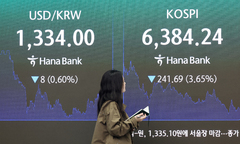 원·달러 환율, 10.0원 오른 1345.1원 마감