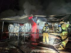 경북 성주 축사서 불…돼지 500마리 폐사