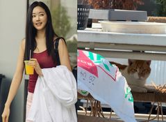 김사랑 "옥상 세입자 월세 안 내" 토로…무슨 일?