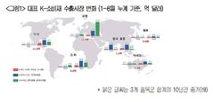"푸드·뷰티·바이오 'K-소비재' 수출액, 10년간 4.2배 증가"