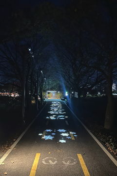 [보은소식]군, 보청천 자전거도로 조명 설치 마무리 등