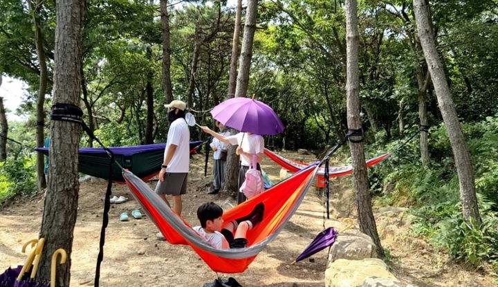 [정읍소식] '정읍치유의숲' 21일부터 무료 시범운영 등