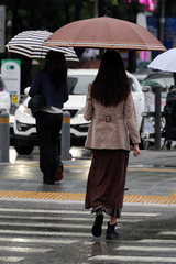 충남권 곳고서 '가을비' 내려 최대 80㎜…이침 최저 13도