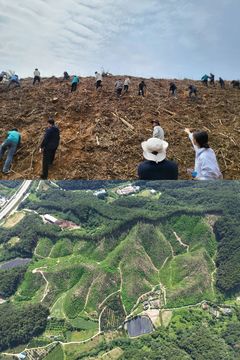 영동군, 용산에 10㏊ 밀원단지 조성…"꿀벌 서식환경 개선"