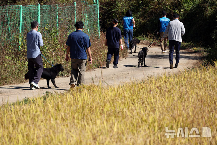 현대산업개발 임직원, 유기견들과 가을 산책 봉사